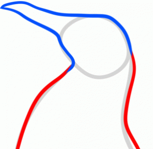 how-to-draw-a-penguin-head-step-3_1_000000155165_3