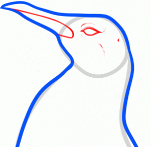 how-to-draw-a-penguin-head-step-4_1_000000155166_3