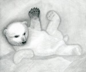 how-to-draw-a-polar-bear-cub-polar-bears-step-10_1_000000076801_3