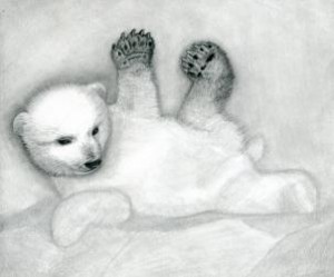 how-to-draw-a-polar-bear-cub-polar-bears-step-11_1_000000076803_3