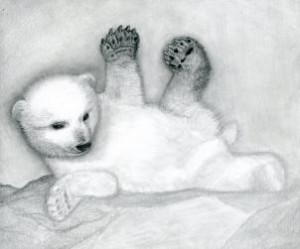 how-to-draw-a-polar-bear-cub-polar-bears-step-12_1_000000076805_3