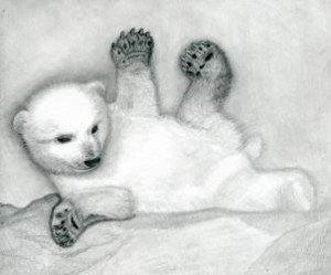 how-to-draw-a-polar-bear-cub-polar-bears-step-13_1_000000076807_3