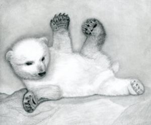 how-to-draw-a-polar-bear-cub-polar-bears-step-14_1_000000076809_3