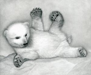 how-to-draw-a-polar-bear-cub-polar-bears-step-16_1_000000076813_3