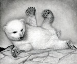 how-to-draw-a-polar-bear-cub-polar-bears-step-17_1_000000076815_3