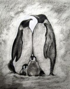 how-to-draw-a-realistic-penguin-draw-real-penguin-step-12_1_000000035185_3