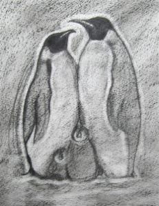 how-to-draw-a-realistic-penguin-draw-real-penguin-step-7_1_000000035175_3
