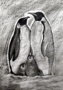 how-to-draw-a-realistic-penguin-draw-real-penguin-step-8_1_000000035177_3