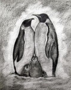 how-to-draw-a-realistic-penguin-draw-real-penguin-step-9_1_000000035179_3