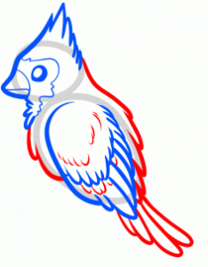 how-to-draw-a-red-bird-red-cardinal-bird-step-5_1_000000112733_3