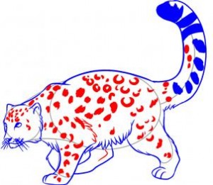 how-to-draw-a-snow-leopard-step-6_1_000000020867_3