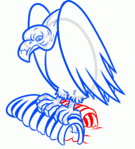 how-to-draw-a-vulture-step-10_1_000000166137_3
