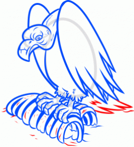 how-to-draw-a-vulture-step-11_1_000000166138_3