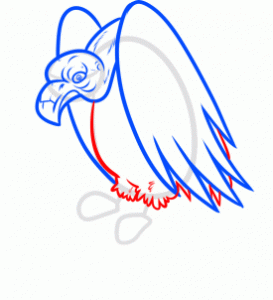 how-to-draw-a-vulture-step-5_1_000000166132_3