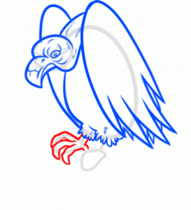 how-to-draw-a-vulture-step-6_1_000000166133_3