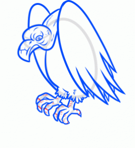 how-to-draw-a-vulture-step-8_1_000000166135_3