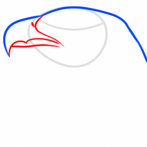 how-to-draw-an-eagle-spirit-step-3_1_000000177670_3