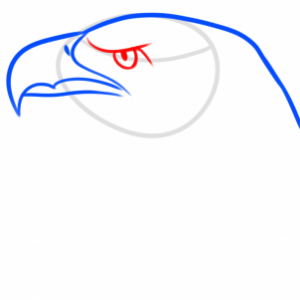 how-to-draw-an-eagle-spirit-step-4_1_000000177671_3