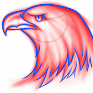 how-to-draw-an-eagle-spirit-step-6_1_000000177673_3