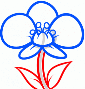 how-to-draw-an-orchid-for-kids-step-4_1_000000145877_3