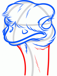 how-to-draw-an-ostrich-step-5_1_000000155867_3