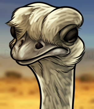 Как нарисовать страуса поэтапно