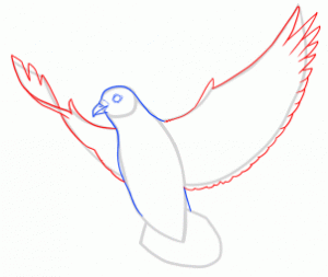how-to-draw-doves-step-15_1_000000145231_3