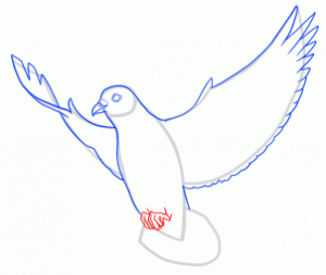 how-to-draw-doves-step-16_1_000000145233_3