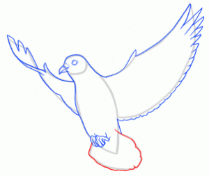 how-to-draw-doves-step-17_1_000000145235_3