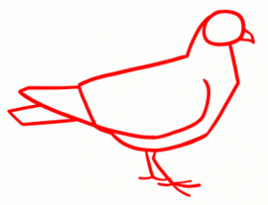 how-to-draw-doves-step-1_1_000000145203_3