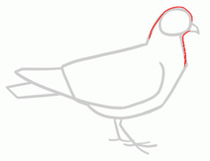 how-to-draw-doves-step-2_1_000000145205_3