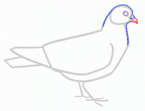how-to-draw-doves-step-4_1_000000145209_3