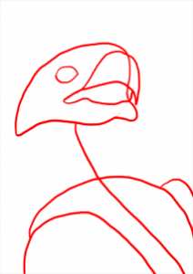 how-to-draw-eagles-draw-bald-eagles-step-6_1_000000112207_3