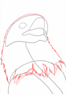 how-to-draw-eagles-draw-bald-eagles-step-7_1_000000112209_3
