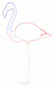 how-to-draw-flamingos-step-5_1_000000128343_3