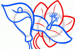 how-to-draw-lilies-for-kids-step-6_1_000000145791_3