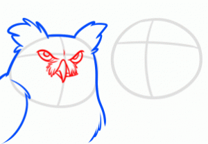 how-to-draw-night-owls-step-4_1_000000166634_3