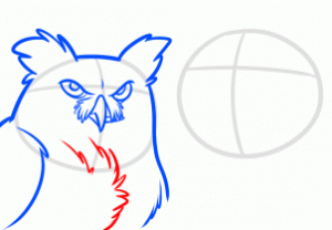 how-to-draw-night-owls-step-5_1_000000166635_3