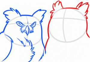 how-to-draw-night-owls-step-6_1_000000166636_3