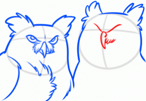 how-to-draw-night-owls-step-7_1_000000166637_3