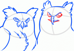 how-to-draw-night-owls-step-8_1_000000166638_3
