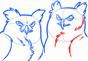 how-to-draw-night-owls-step-9_1_000000166639_3