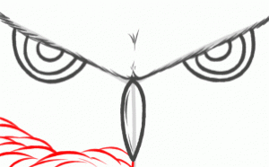 how-to-draw-owl-eyes-draw-an-owl-face-step-5_1_000000130763_3
