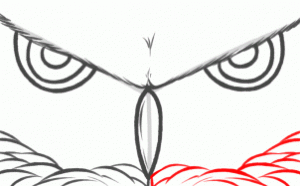 how-to-draw-owl-eyes-draw-an-owl-face-step-6_1_000000130765_3