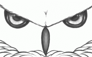 how-to-draw-owl-eyes-draw-an-owl-face-step-8_1_000000130769_3