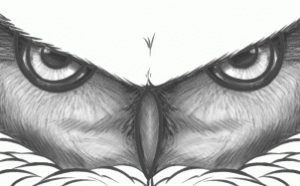 how-to-draw-owl-eyes-draw-an-owl-face-step-9_1_000000130771_3