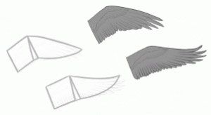 how-to-draw-parrots-draw-macaws-step-1_1_000000128099_3