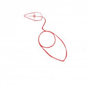how-to-draw-penguins-step-1_1_000000035505_3