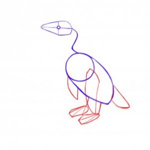 how-to-draw-penguins-step-2_1_000000035507_3