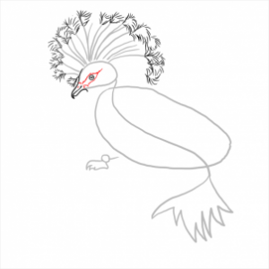 how-to-draw-pigeons-step-10_1_000000112329_3